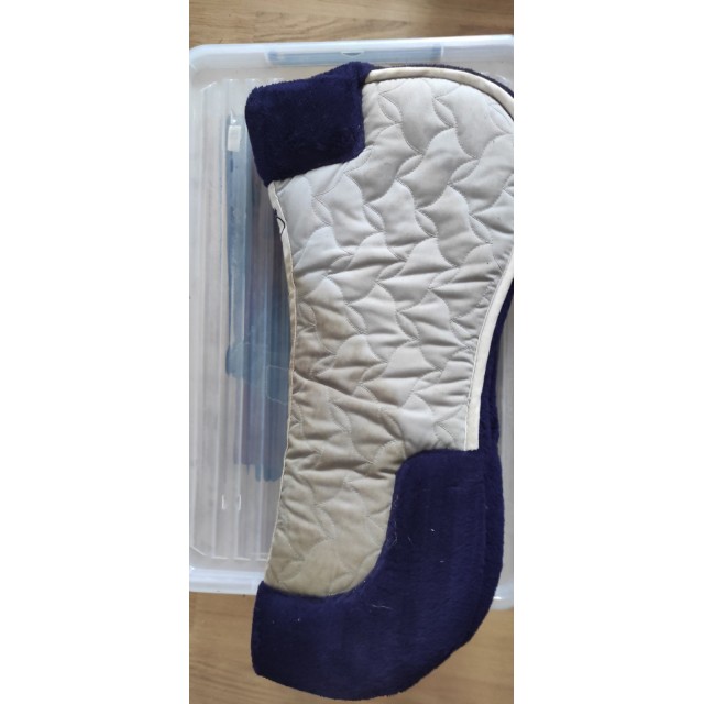 Amortisseur Fouganza