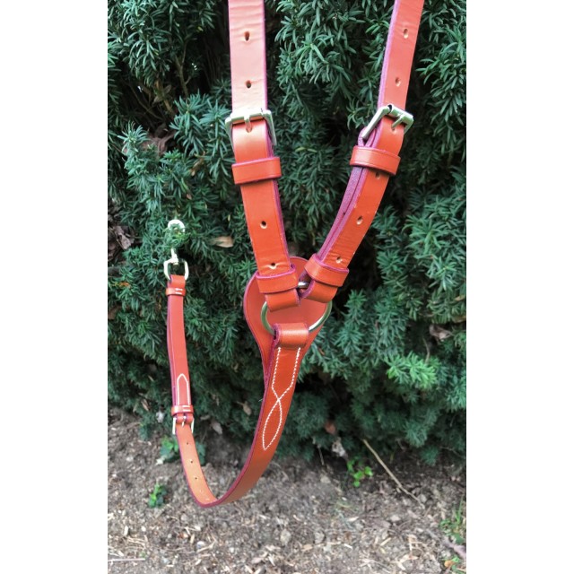 Collier de chase + Martingale