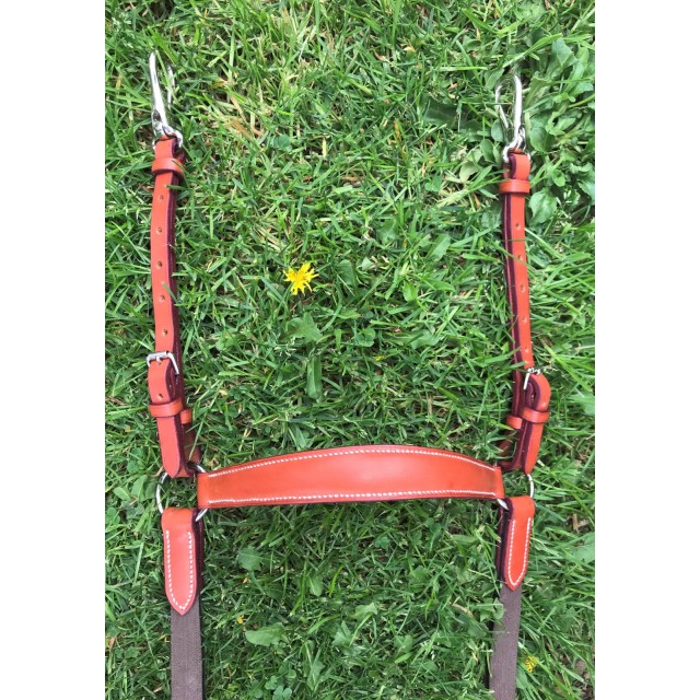 Collier de chase + Martingale