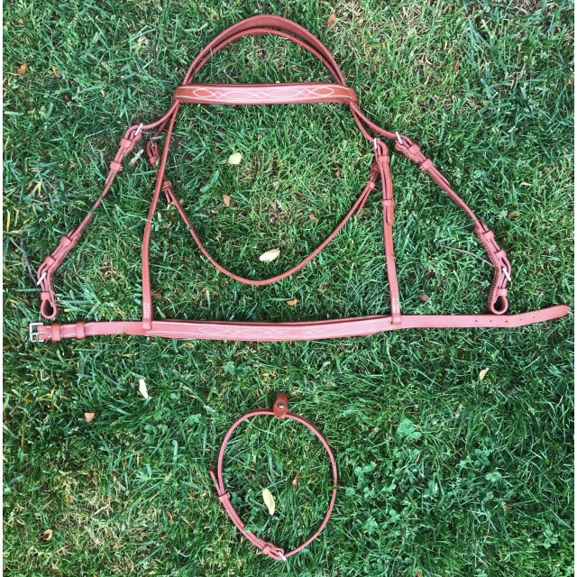 Bridon avec complément de muserolle