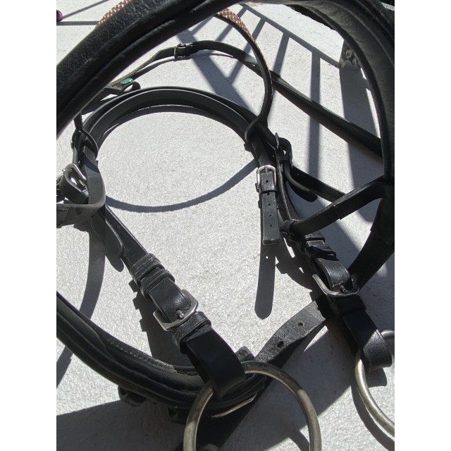 filet/bridé norton pro noir cob/cheval