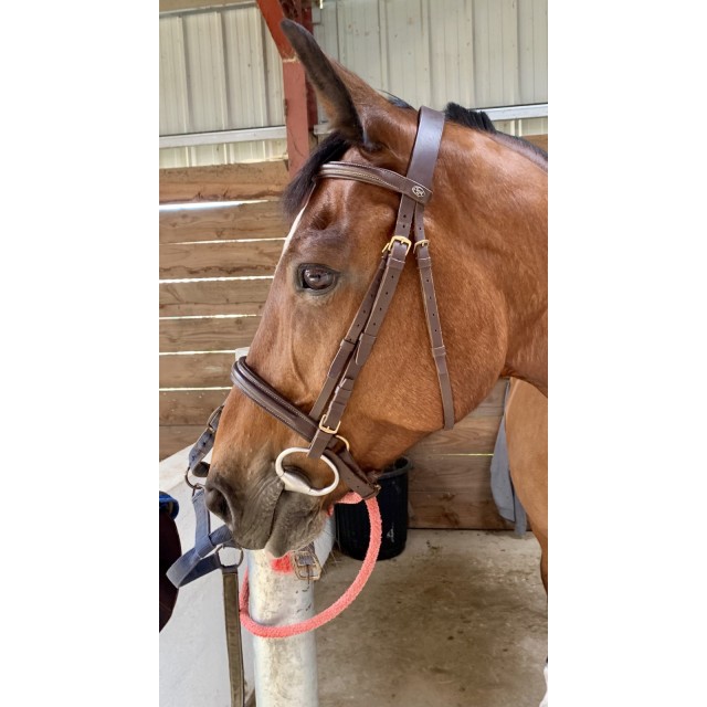 Bridon cuir marron