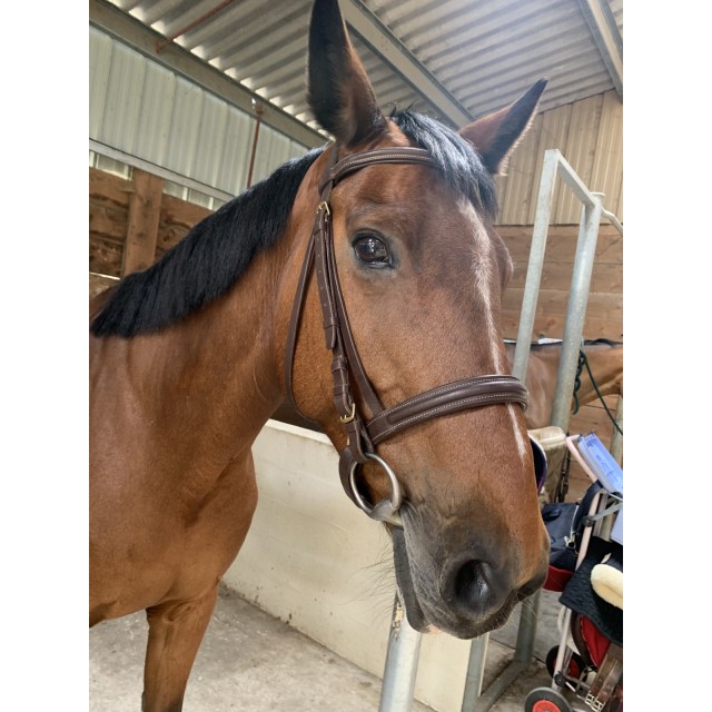 Bridon cuir marron
