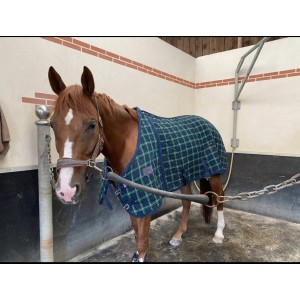 Couverture Elizabeth Greenwood