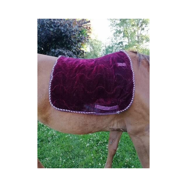 Tapis dressage velours bordeaux