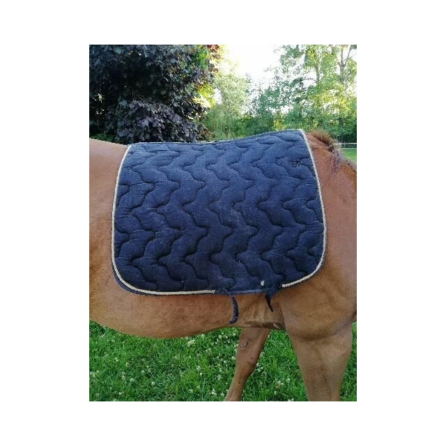 Tapis dressage equitheme noir