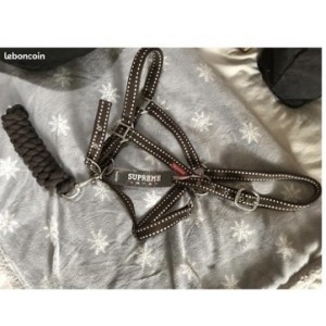 Licol Horze + longe neufs