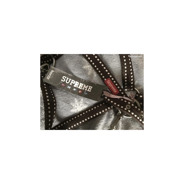 Licol Horze + longe neufs