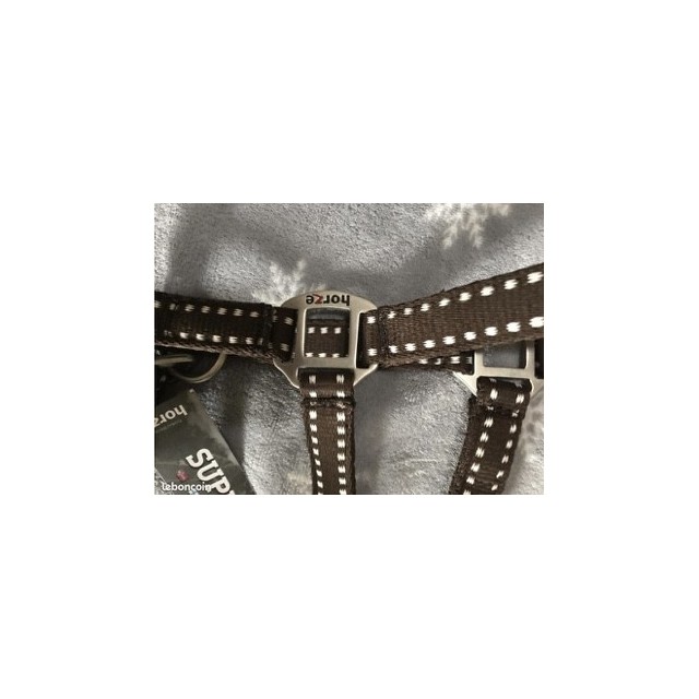 Licol Horze + longe neufs