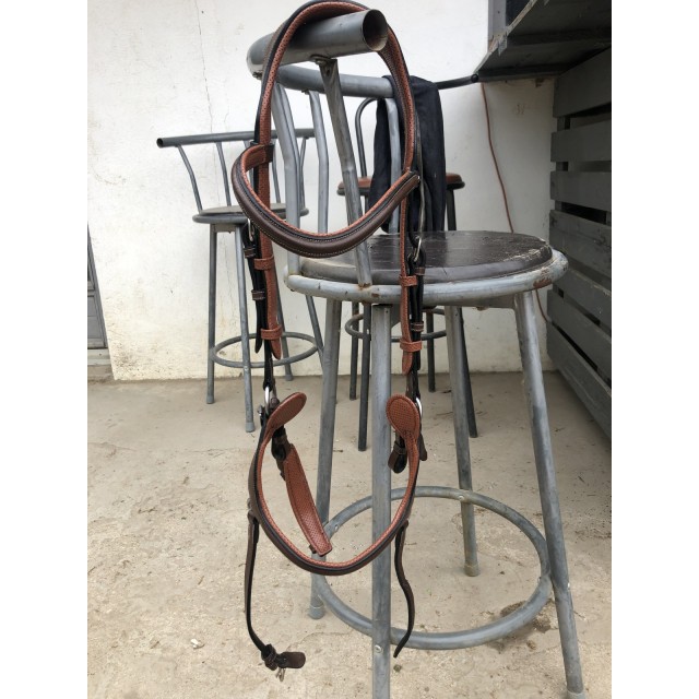 Bridon jump’in chestnut