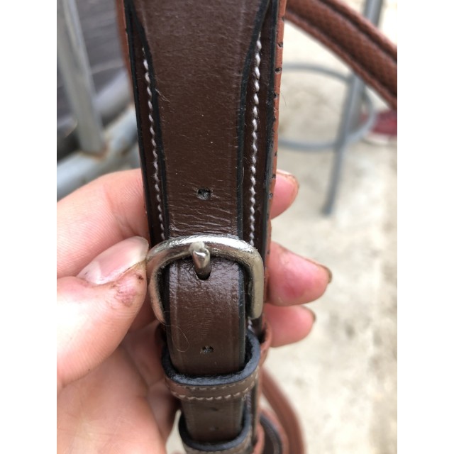 Bridon jump’in chestnut