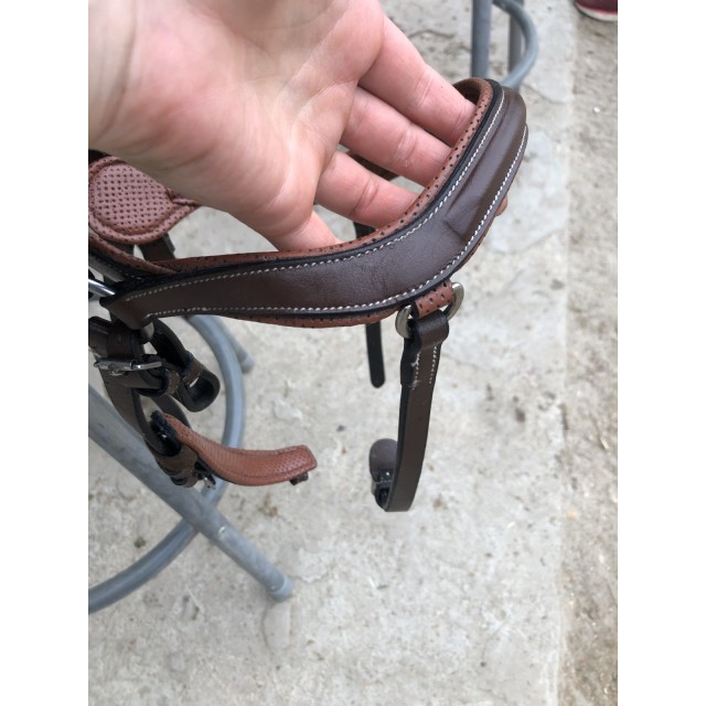 Bridon jump’in chestnut