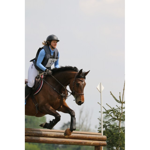 Bridon jump’in chestnut