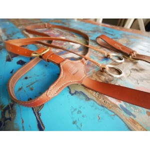 Martingale à anneaux