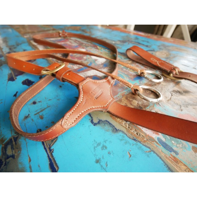 Martingale à anneaux