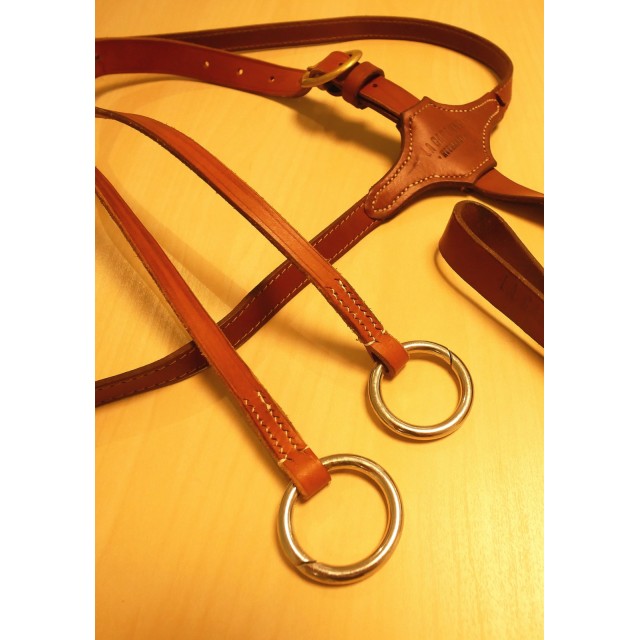 Martingale à anneaux
