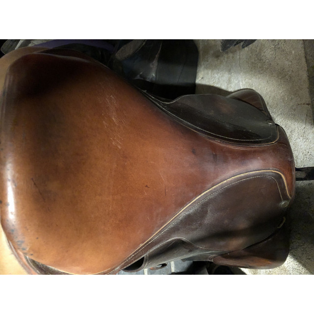 Selle Terry’s