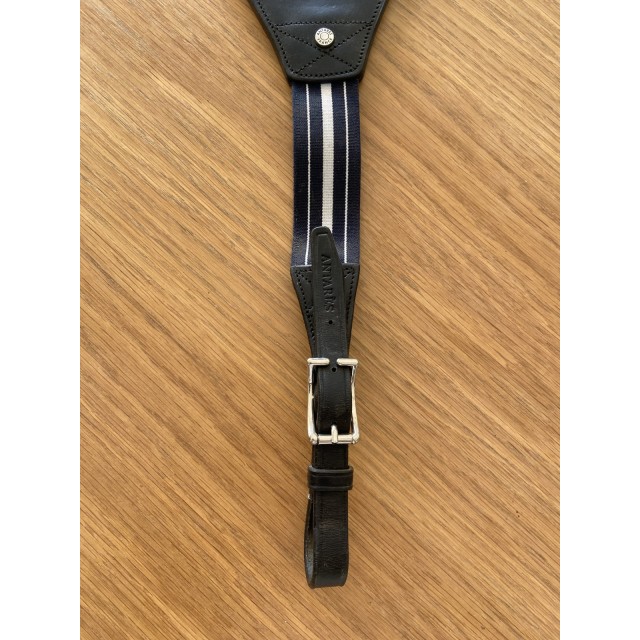 Fourche de martingale Antares