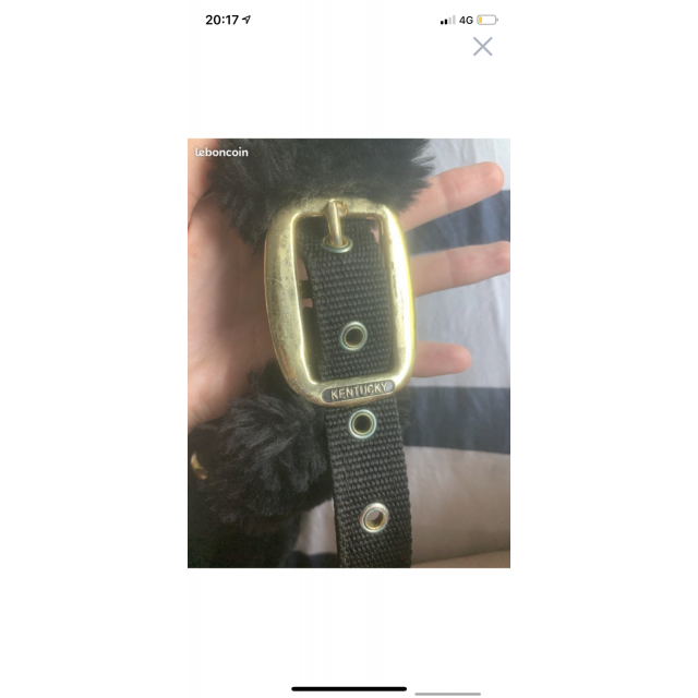 Licol kentucky taille cob