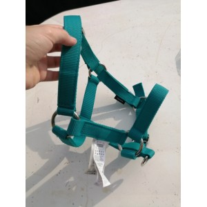 Licol bleu canard (FOUGANZA) neuf jamais servi