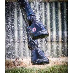 Hipposandales Équine Fusion Active Jogging