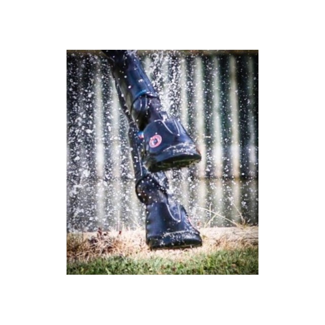 Hipposandales Équine Fusion Active Jogging