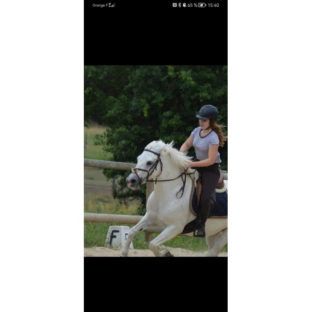 Filet time rider taille cob