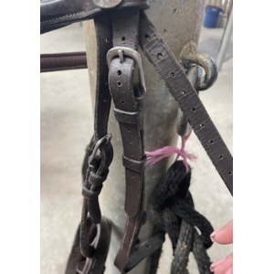 Filet Dy’on taille poney