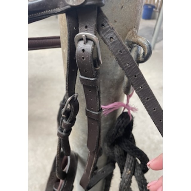 Filet Dy’on taille poney