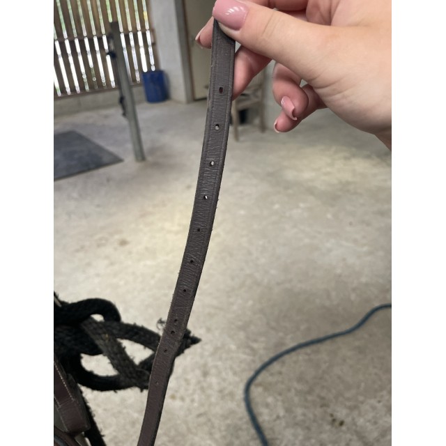 Filet Dy’on taille poney