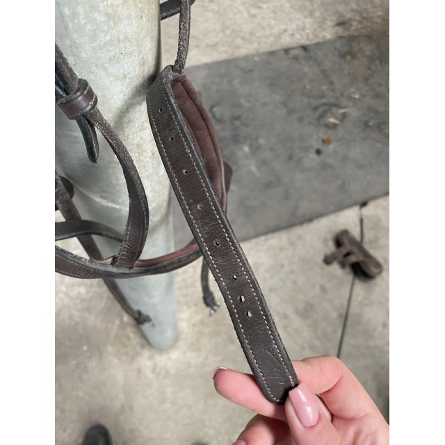 Filet Dy’on taille poney