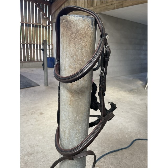 Filet Dy’on taille poney