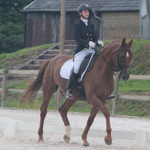 Tapis dressage Harry's Horse, blanc satin, taille full