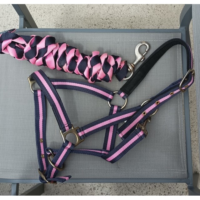 Ensemble Licol Stitch Musketon Bleu/Rose Cob