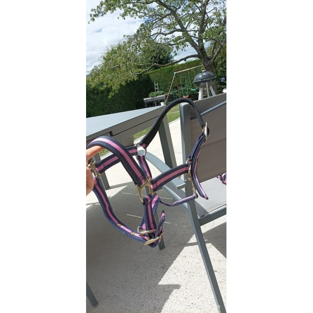 Ensemble Licol Stitch Musketon Bleu/Rose Cob