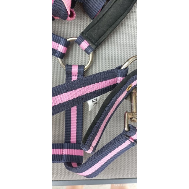 Ensemble Licol Stitch Musketon Bleu/Rose Cob