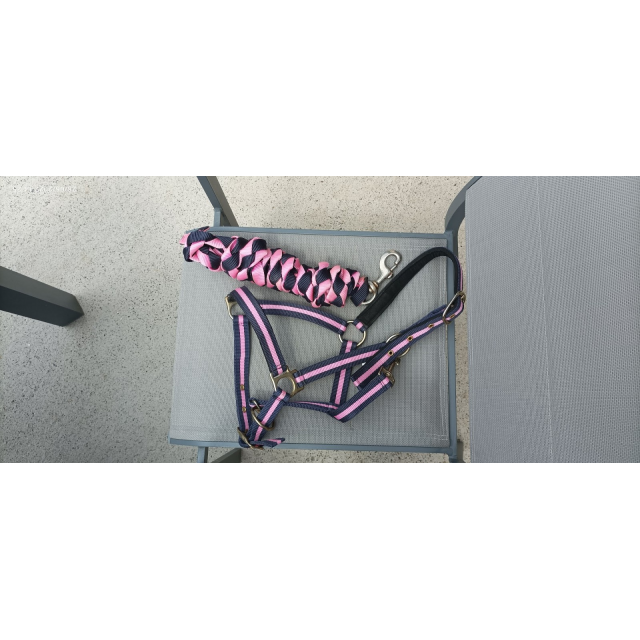 Ensemble Licol Stitch Musketon Bleu/Rose Cob