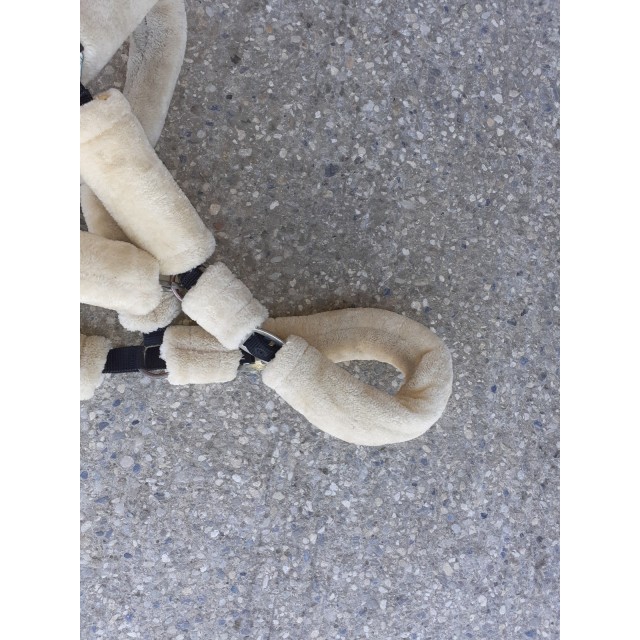 Licol mouton