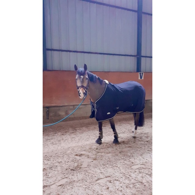 Chemise de box Equitheme noire avec mouton garrot