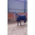 Chemise de box Equitheme noire avec mouton garrot