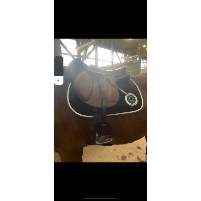 Selle Séoul forestier