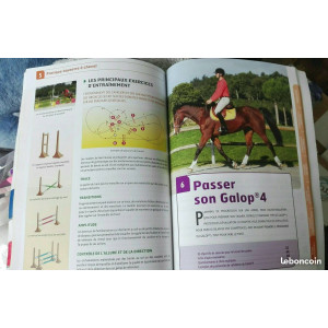 Livre officiel Galop 4 de Cavalier