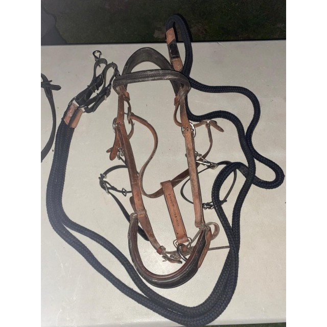 filet licol marron bon etat