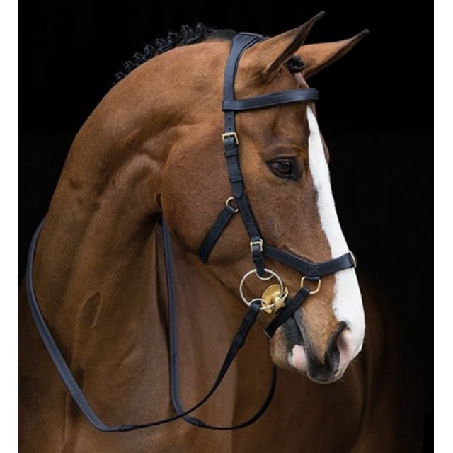 Bridon Rambo Micklem multibride