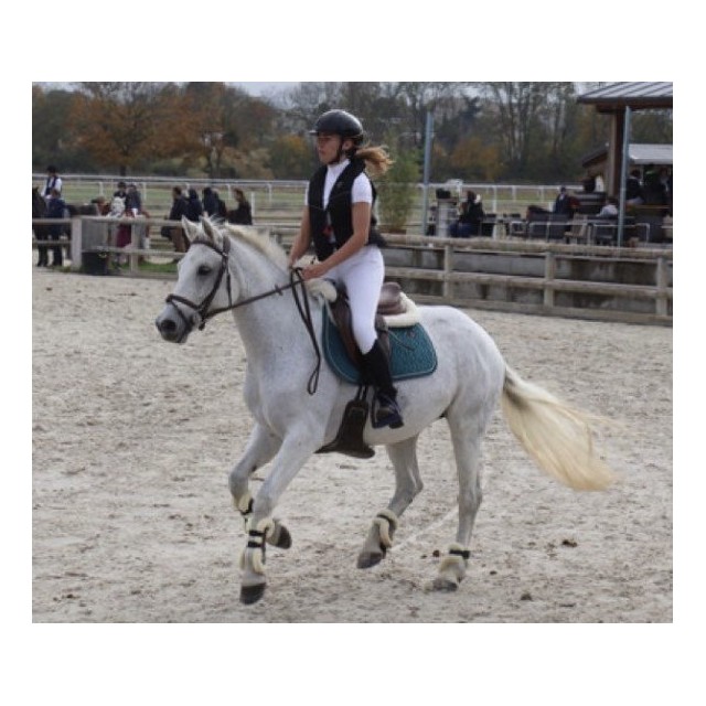 Guêtres xtr Norton marron mouton