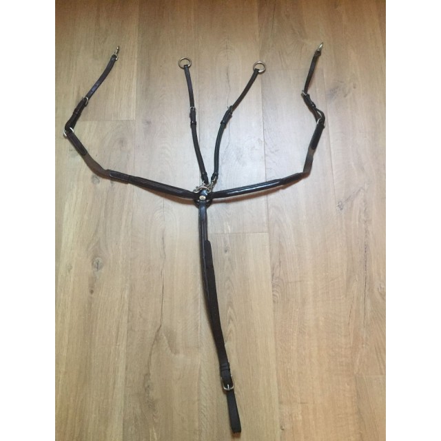 Collier de chasse + martingale
