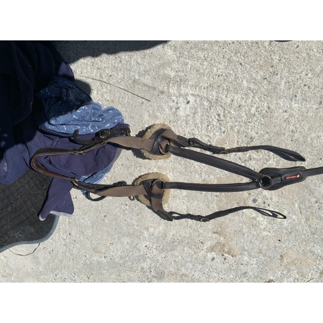 Collier de chasse équipe