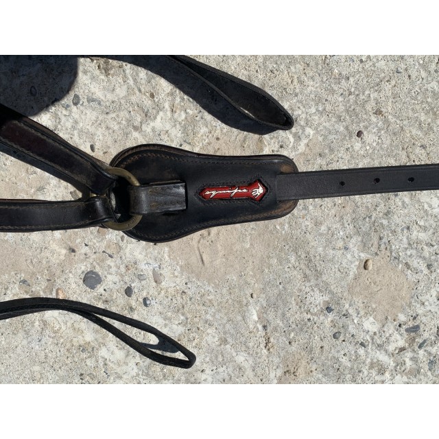 Collier de chasse équipe