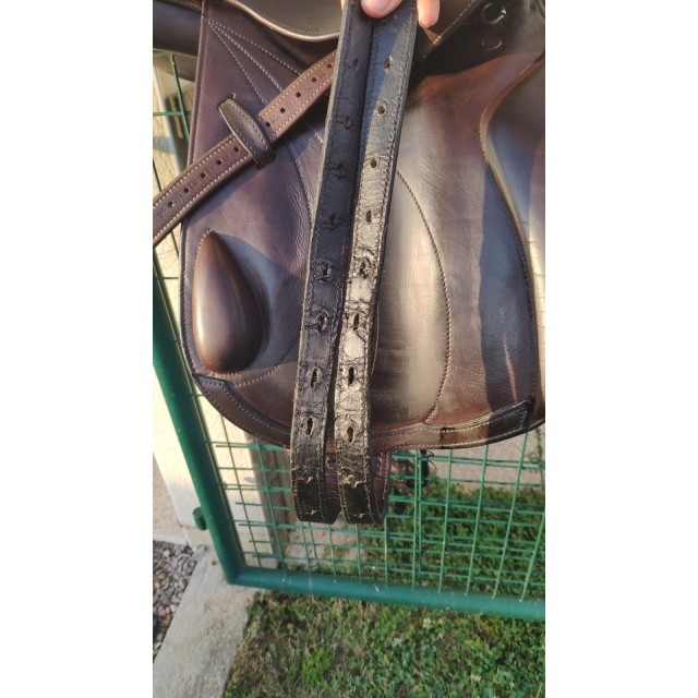 Selle Éric Thomas cross lion