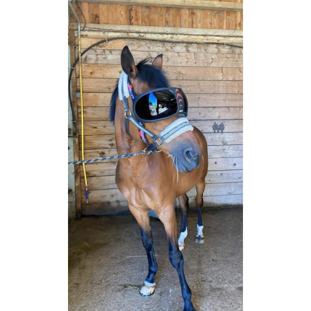 Pack Premium equidiva avec cache-oreilles + lunettes eVysor eQuick